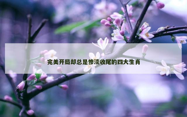 完美开局却总是惨淡收尾的四大生肖