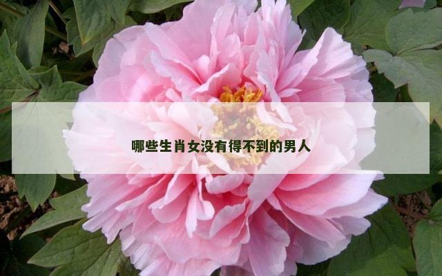 哪些生肖女没有得不到的男人