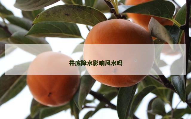 井底降水影响风水吗