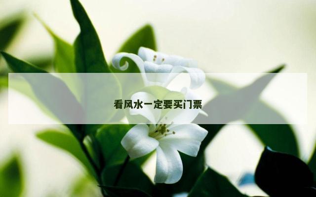 看风水一定要买门票