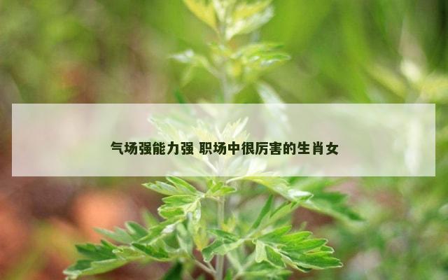 气场强能力强 职场中很厉害的生肖女