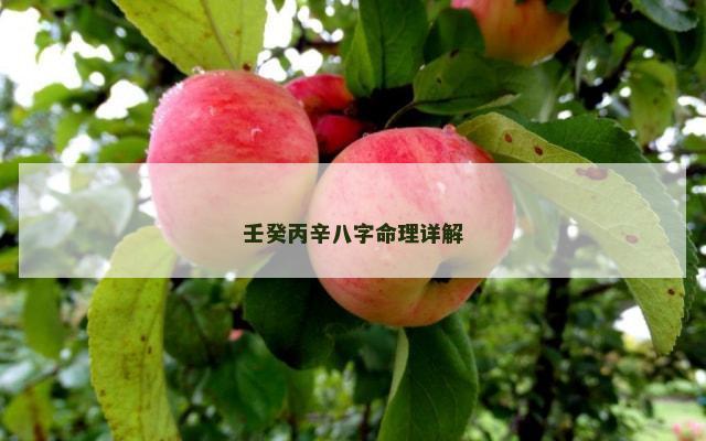 壬癸丙辛八字命理详解