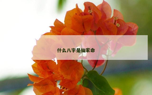 什么八字是仙家命