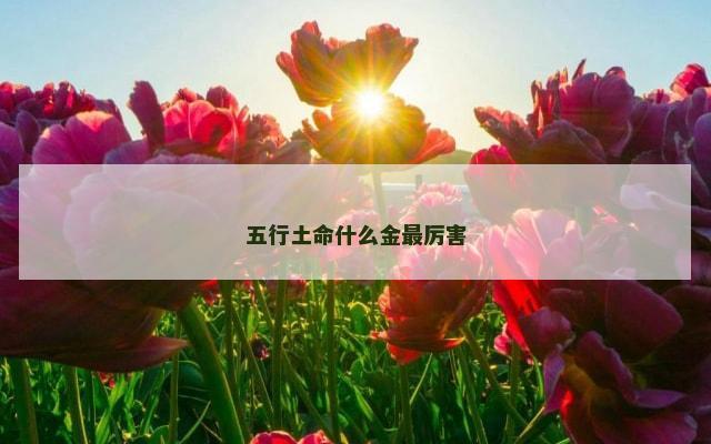 五行土命什么金最厉害