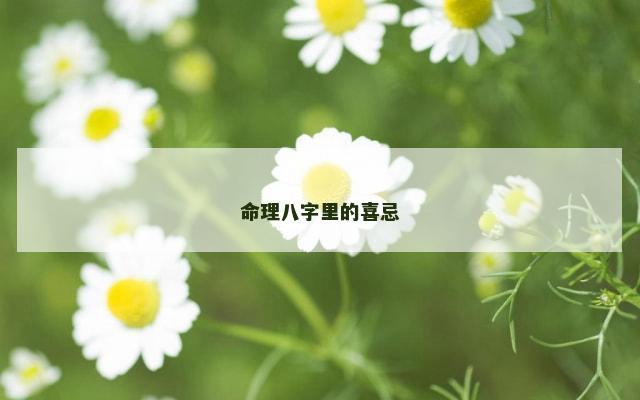 命理八字里的喜忌