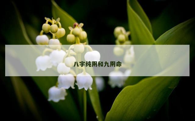 八字纯阴和九阴命