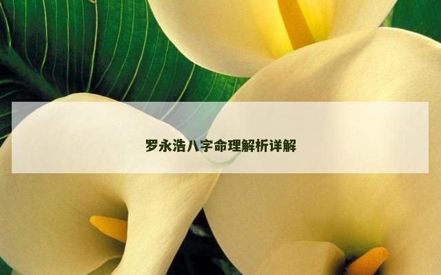 罗永浩八字命理解析详解