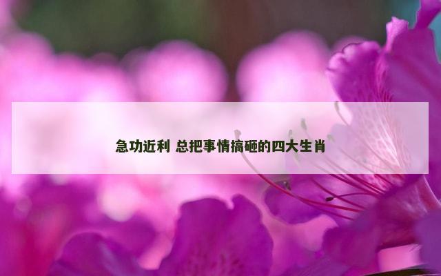 急功近利 总把事情搞砸的四大生肖