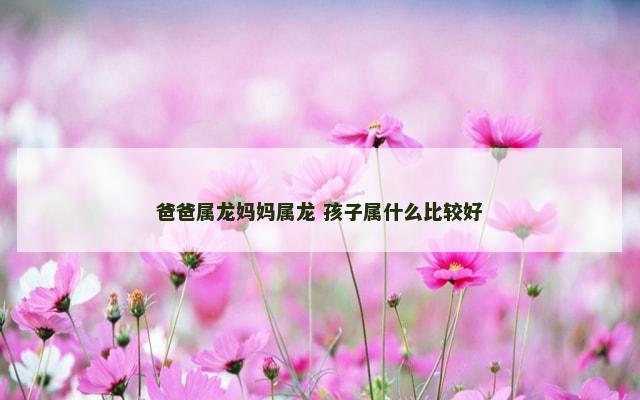爸爸属龙妈妈属龙 孩子属什么比较好