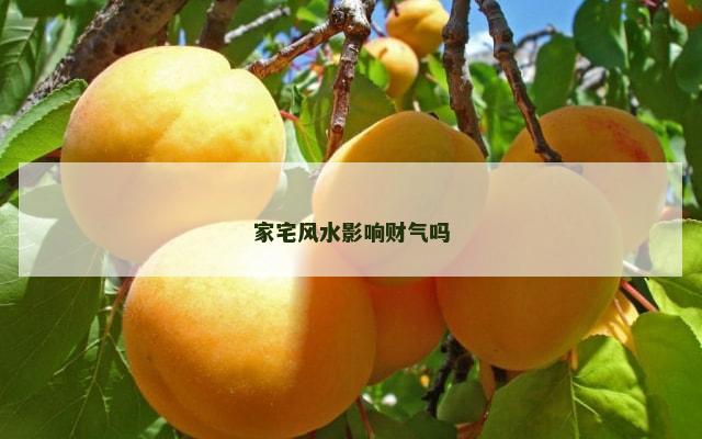 家宅风水影响财气吗