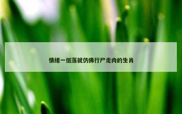 情绪一低落就仿佛行尸走肉的生肖