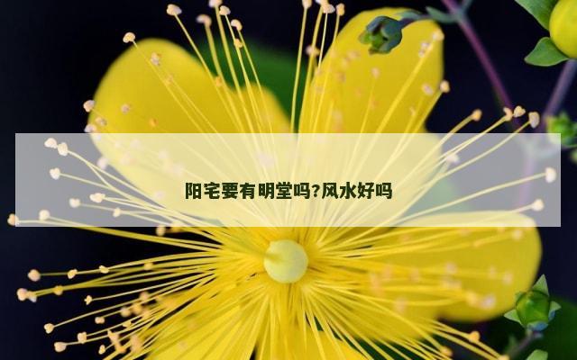 阳宅要有明堂吗?风水好吗