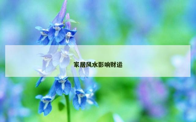 家居风水影响财运