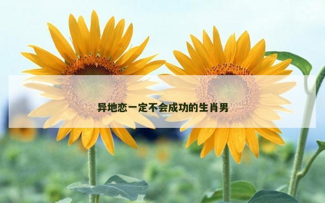 异地恋一定不会成功的生肖男