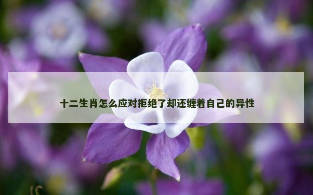 十二生肖怎么应对拒绝了却还缠着自己的异性