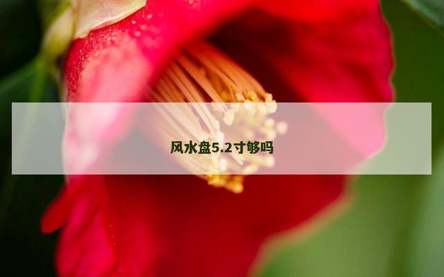 风水盘5.2寸够吗