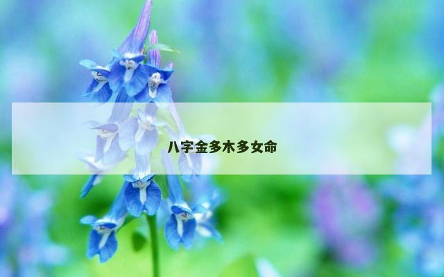 八字金多木多女命