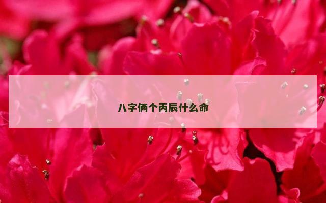 八字俩个丙辰什么命