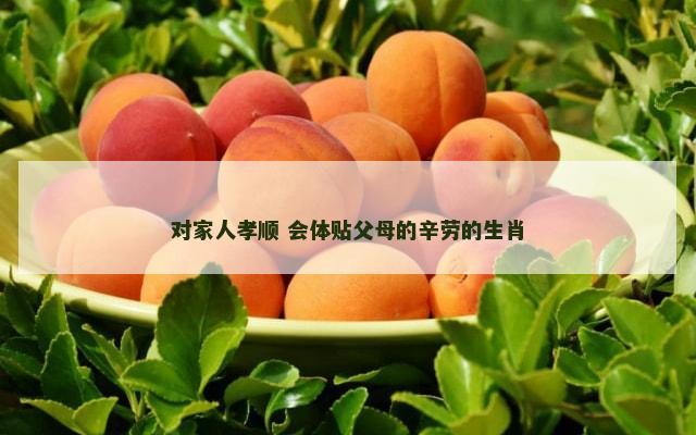 对家人孝顺 会体贴父母的辛劳的生肖