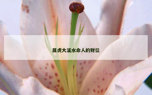 属虎大溪水命人的财位
