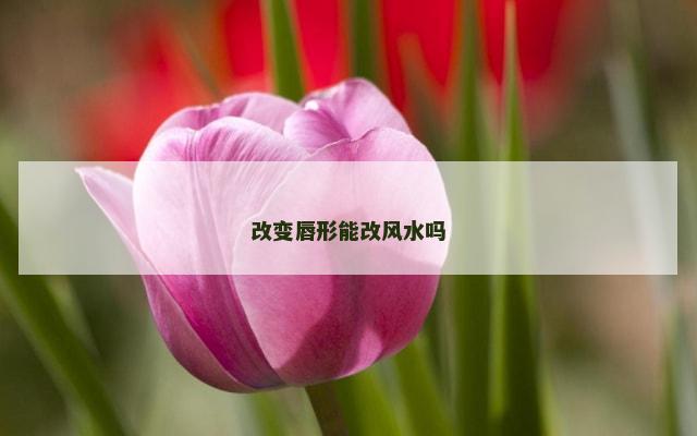 改变唇形能改风水吗