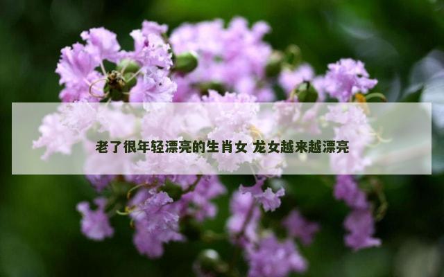 老了很年轻漂亮的生肖女 龙女越来越漂亮
