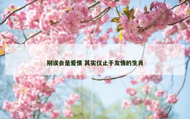 别误会是爱情 其实仅止于友情的生肖