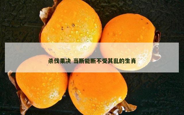 杀伐果决 当断能断不受其乱的生肖