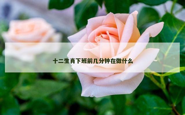 十二生肖下班前几分钟在做什么