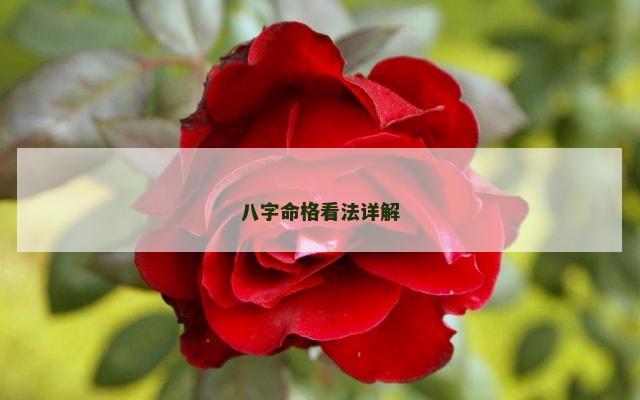 八字命格看法详解