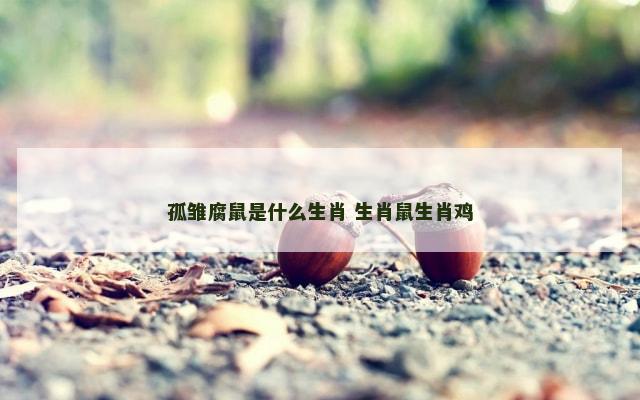 孤雏腐鼠是什么生肖 生肖鼠生肖鸡