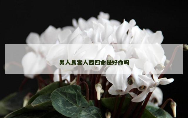 男人艮宫人西四命是好命吗