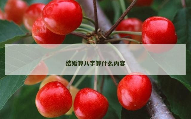 结婚算八字算什么内容