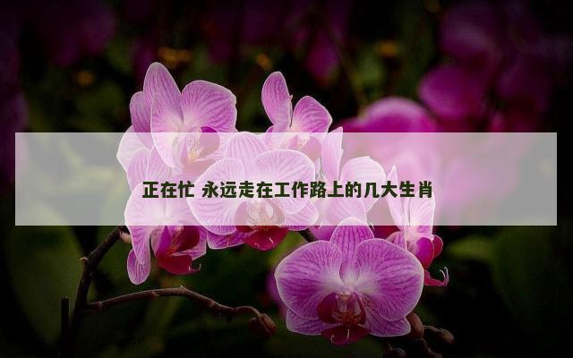 正在忙 永远走在工作路上的几大生肖