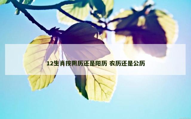 12生肖按阴历还是阳历 农历还是公历