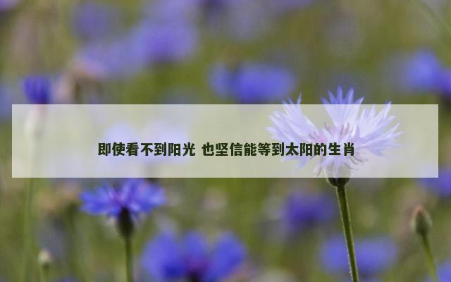 即使看不到阳光 也坚信能等到太阳的生肖