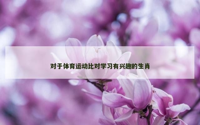 对于体育运动比对学习有兴趣的生肖