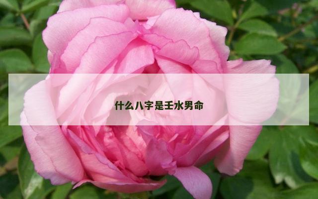 什么八字是壬水男命