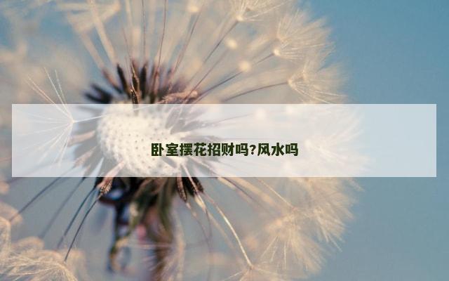 卧室摆花招财吗?风水吗