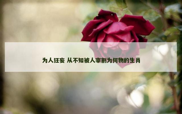 为人狂妄 从不知被人宰割为何物的生肖