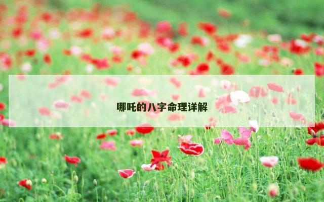 哪吒的八字命理详解