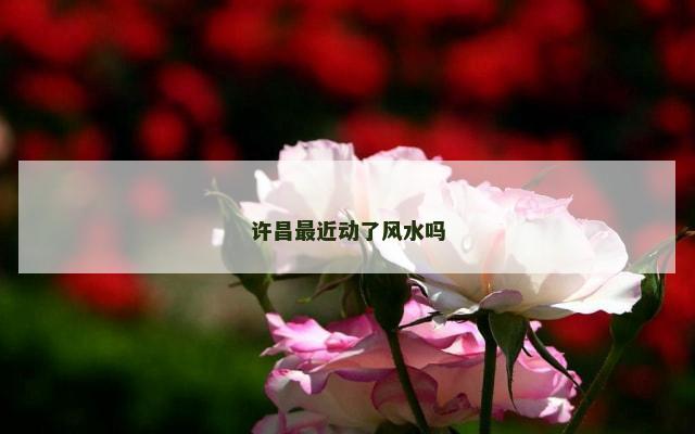 许昌最近动了风水吗