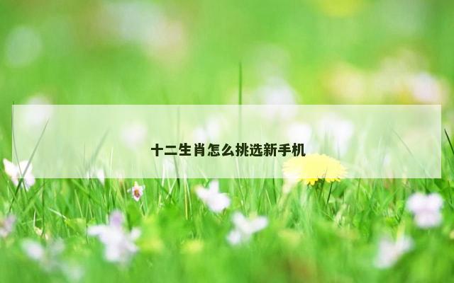 十二生肖怎么挑选新手机