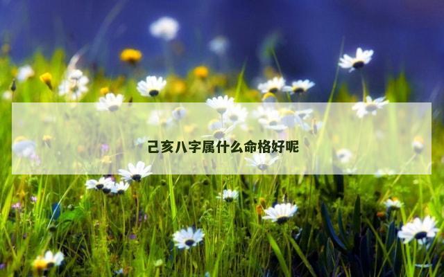 己亥八字属什么命格好呢