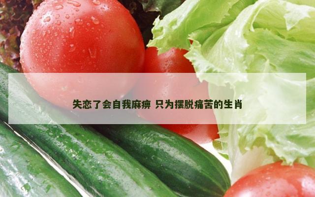 失恋了会自我麻痹 只为摆脱痛苦的生肖