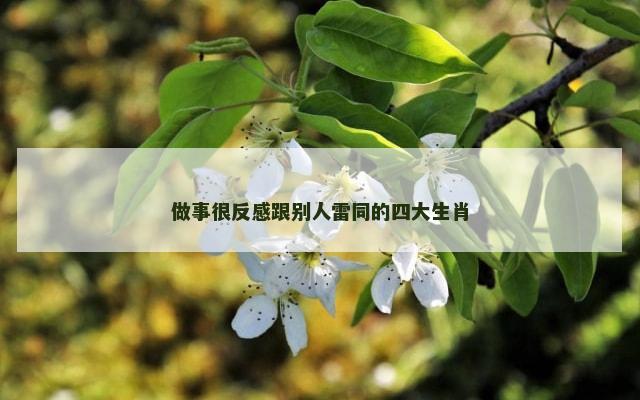 做事很反感跟别人雷同的四大生肖