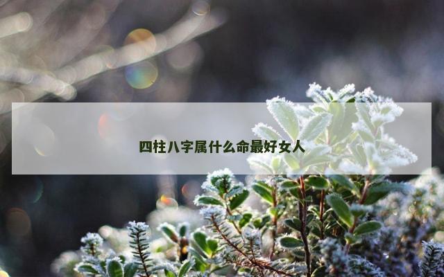 四柱八字属什么命最好女人