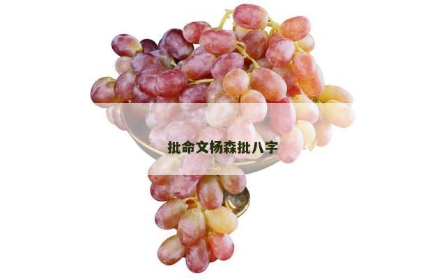 批命文杨森批八字