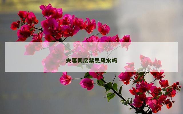 夫妻同房禁忌风水吗