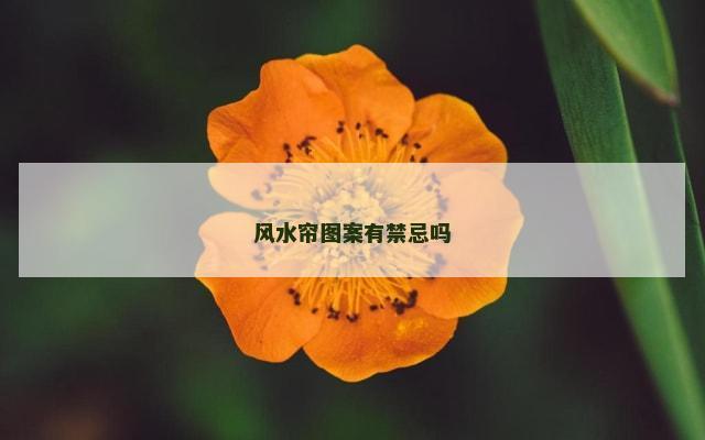风水帘图案有禁忌吗